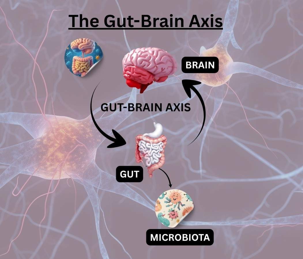 Gut–Brain Axis