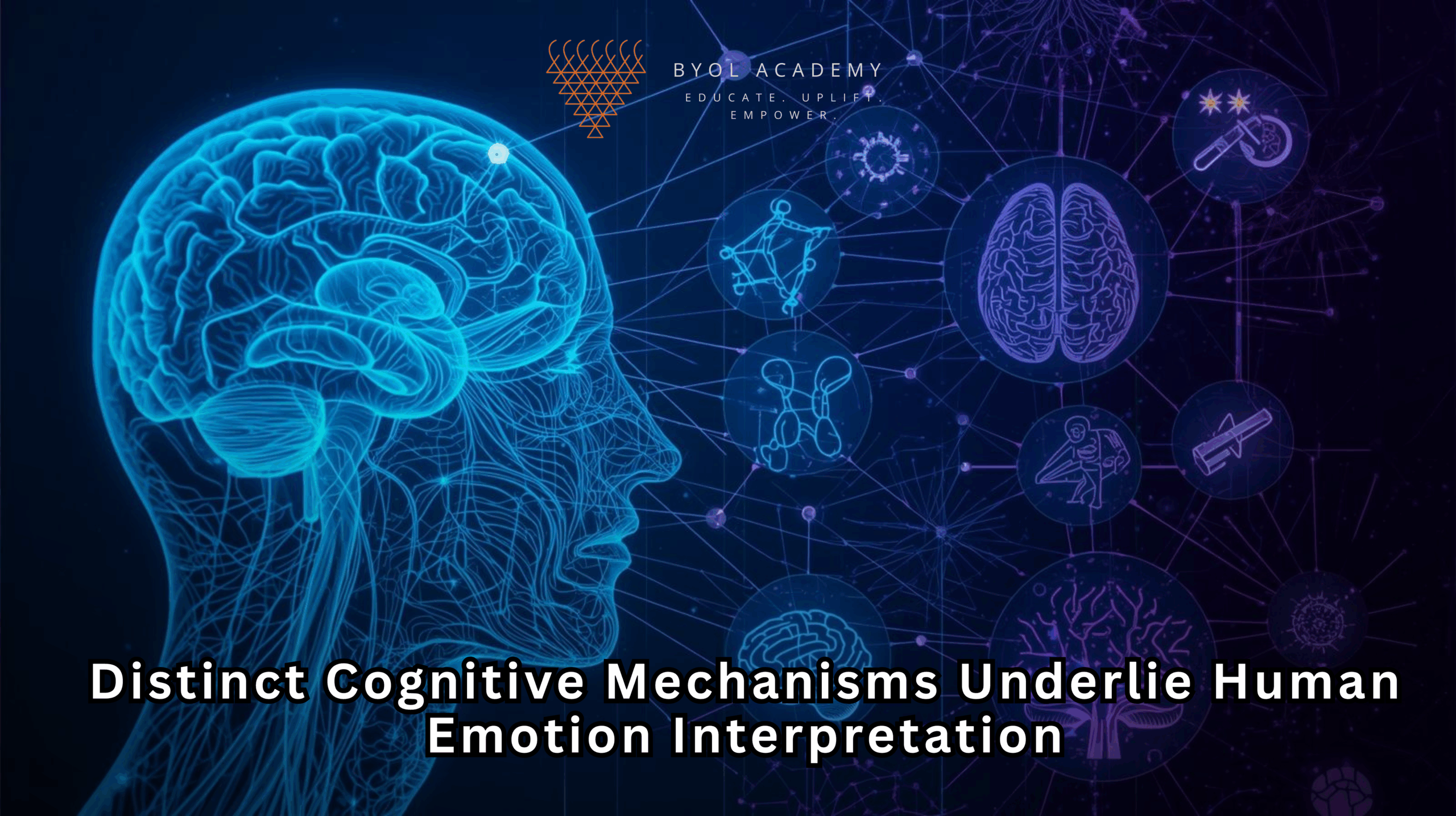 Distinct Cognitive Mechanisms Underlie Human Emotion Interpretation